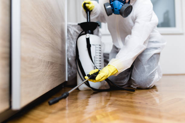 Best Local Pest Control Services  in Comstock Northwest, MI