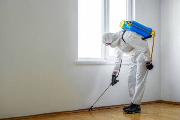 Best Wasp Removal Services  in Comstock Northwest, MI
