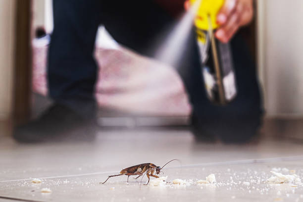 Wildlife Control Services in Comstock Northwest, MI