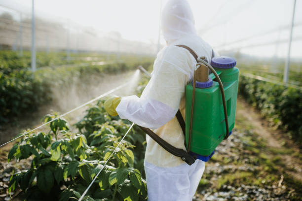 Professional Pest Control in Comstock Northwest, MI